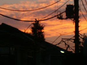 hpim0248.jpg